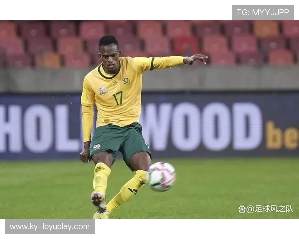 南非逆转取胜，球迷狂欢，南非队战绩